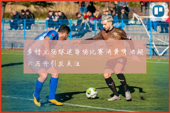 多特主场球迷每场比赛消费啤酒超六万升引发关注